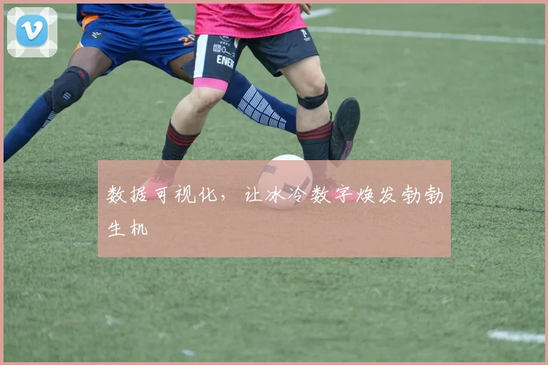 数据可视化，让冰冷数字焕发勃勃生机