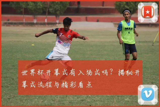 世界杯开幕式有入场式吗？揭秘开幕式流程与精彩看点